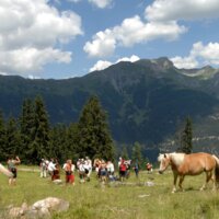 Wandern Musik Pferde