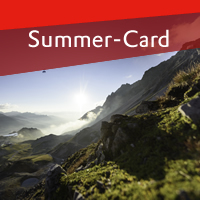 Summer-Card