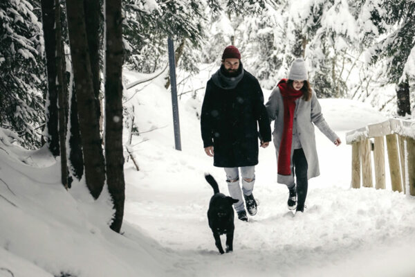 Winterwandern - St. Anton am Arlberg